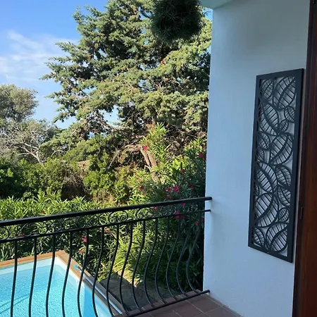 Rosette Ile Du Levant * Hyeres