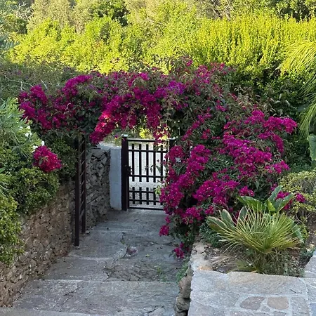 Rosette Ile Du Levant Holiday home