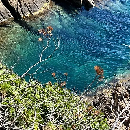 Feriehus Rosette Ile Du Levant Hyères